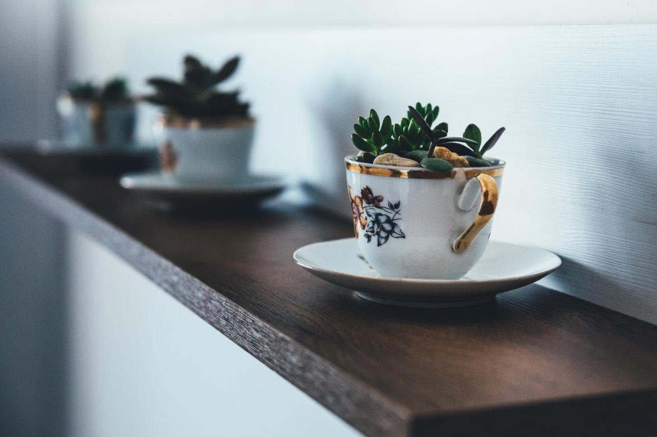 Apartmány na náměstí Šumperk Esterno foto